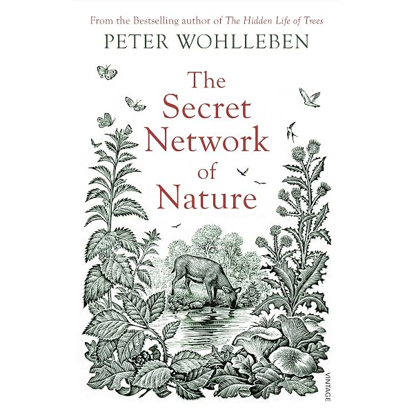 Our Little Farm: Adventures in Sustainable Living (From the Author Our Little Farm: Adventures in Sustainable Living (From the Author